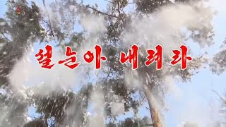 설눈아 내려라 - May The Snow of New Year's Day Fall (DPRK New Year Song)