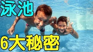 游泳池業者不說，可是你應該要知道的六個大秘密｜生活享知識《享知識TV》