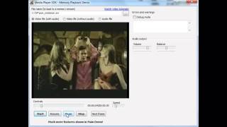 Media Player SDK / SDK .Net - Memory playback