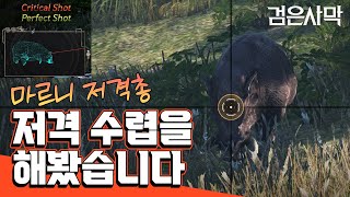 [검은사막BDO, Black Desert Online] - 수익, 재미 모두 보장! 저격 수렵을 해봤습니다