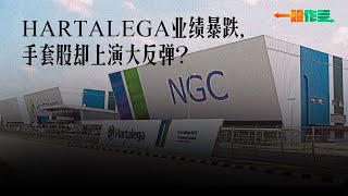 【一股作气】Hartalega业绩暴跌，手套股却上演大反弹?