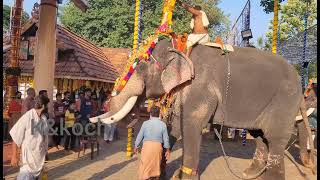 രാമേശ്വരക്ഷേതത്തിലെ തിരുവുത്സവം തിടമ്പ് ശിരസിൽ വഹിക്കുന്നത് മംഗലാകുന്ന് അയ്യപ്പൻ ❤️❤️