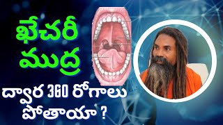 about  Salve yoga burstatwa problem by Gnanandagiri Maharaj in telugu