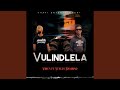 Vulindlela