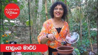 ආලංග මාලුව - Episode 478 -  Alanga Curry