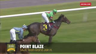 Lot 515 - Point Blaze - Magic Millions National Broodmare Sale