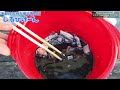 沖縄グルメ『 真っ黒いスープ 』【 お持ち帰り専門 しるびけーん 】糸満 お魚センター内・イカスミ汁を食べました～。めちゃくちゃ美味しかったです🤤