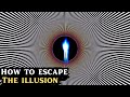 The Quantum Principle: What You Perceive As Reality Is Merely an Illusion