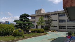 広陵町の朝顔とひまわり（広陵北小学校）