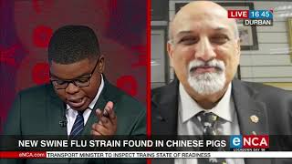 New strain of swine flu found in pigs