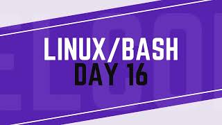 HackerRank | Linux Bash Day 16 | Text Processing | Sort command (part 2)