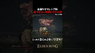 ガンメンの盾でマレニアを倒せ！！　#shorts #エルデンリング #eldenring #縛り実況プレイ #盾縛り