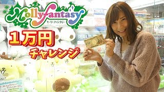 ★ モーリーファンタジー ☆ Mollyfantasy ★ １万円！ クレーンゲーム チャレンジ 【 こうじょうちょー  】