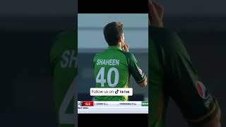 #ShaheenShahAfridi's Magic in 1st Over #Pakistan #PCB #SportsCentral MA2A