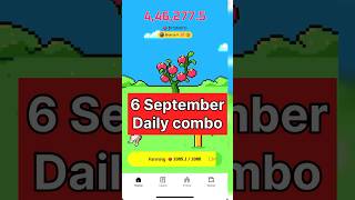 Tomarket 6 September daily combo | tomato app daily combo code today|to market tomato new code today