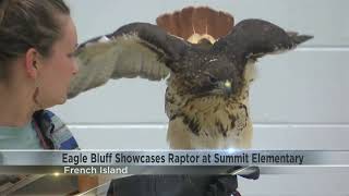 Summit Elementary students celebrate Earth Day with raptor showcase