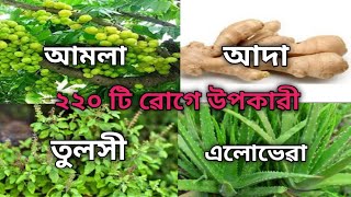 মহিলাদের যাবতীয় যৌন সমস্যা ও ২২০ টি ৱোগেৱ জন্যে লাভদায়ক #imc #imcbusiness #aloe #Aloeverajuice