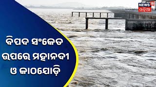 Odisha Flood News | Mundali Barrage I ବିପଦ ସଂକେତ ଉପରେ ମହାନଦୀ ଓ କାଠଯୋଡ଼ି I News18 Odia