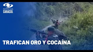 Así trafican las disidencias de las FARC y el ELN por narcopistas de la guerrilla en Venezuela