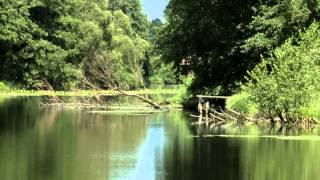 The MURA River The Cradle of Life documentary HD (2011)