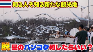 昼のバンコクに飽きた人へ！