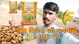 આ વિડીયો ઘઉં વાવવાનો ગઉં 496 ઘઉં🌾🌾🚜 #આ #વિડીયો #ઘઉં #વાવવાનો #ગઉં #496 #ઘઉં #🌾🌾🚜