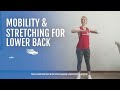 Mobility & Stretching for Lower Back