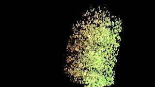 LW11 Instancing Test