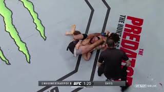 Zabit Magomedsharipov vs Brandon Davis banana split Submission