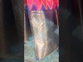 kanchi pattu saree short video 💯