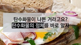 탄수화물이 나쁜 거라고요? 탄수화물의 정체를 바로 알자