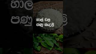 හාල් ගුල්ලන්ගෙන් ආරක්ෂා කර ගන්න අමාරුයි නේද?👌 sinhala cooking tips #short #recipe