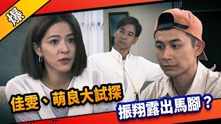 《八點檔搶先爆》市井豪門 EP210 佳雯、萌良大試探  振翔露出馬腳？