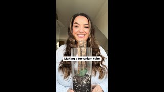 How to make a terrarium tube