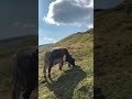 Hiking In The Italian Alps tiktok serena coady