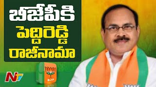 Former Minister Peddi Reddy Resigns to BJP | Ntv