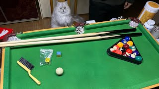 [미니 당구대] 포켓볼 , small billiards , mini pool table