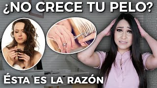 ¿Sientes que no te crece el pelo? Descubre por qué en este video👩🏻‍⚕️l Dra. Pau Zúñiga