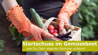 Startschuss im Gemüsegarten