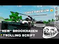 *NEW* Brookhaven Trolling Unlock All Gamepass Script Hack | SanderX Fluxus,Hydrogen,Delta, Arceus X