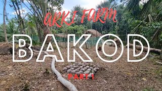 ARKI FARM - Pagbabakod Part 1