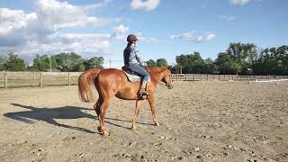 FNT Farm and Ranch, July, Ranch w/t eq/pl/g.of.ch.