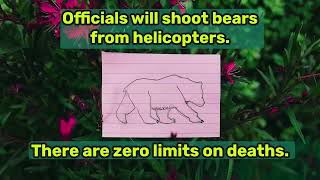 Save Alaska Bears from Aerial Gunning