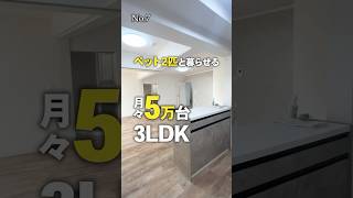 ペット2匹と住める3LDKが5万台？ #物件購入 #お部屋探し #中古マンション #愛知県 #名古屋市 #天白区 #3LDK