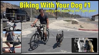 Biking with Your Dog #1 - The Equipment for a Safe Ride for You and Your Dog - Dog Training