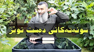 سونەتەکانی دەست نوێژ ، شەرحی کتێبی إمامی موززەنی لەفیقهی شافیعیدا وانەی 11