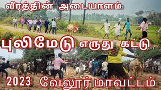 புலிமேடு காளை விடும் திருவிழா 2023 pulimedu Eruthukattu