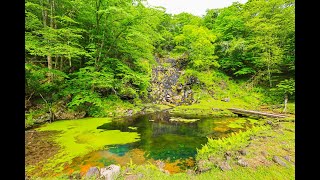 8K HDR 北海道 オンネトー湯の滝 マンガン酸化物生成地(天然記念物) Hokkaido, Onnneto Hot Water Fall(Natural Monument)