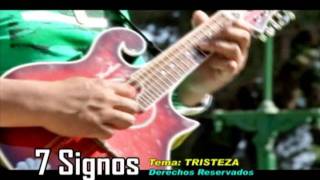 7 SIGNOS -  TRISTEZA