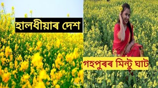 Mintu Ghat//হালধীয়াৰ দেশ//Gohpur//Beautiful picnic place//Family Birthday vlog//Assamese//vlog